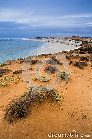 Ningaloo Reef Australia beach sea shore beautiful winter Stock Photo