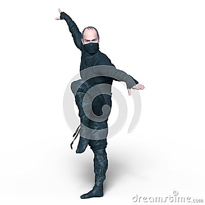 Ninja Stock Photo