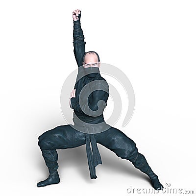 Ninja Stock Photo