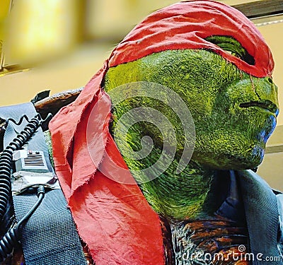 Ninja turtles Editorial Stock Photo