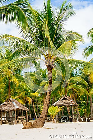 Nipa huts on the white coral sand beach surrounded with palms Stock Photo