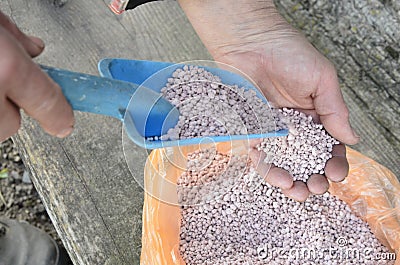 Nitrogenous fertilizer.Fertilizer granules.chemical fertilizer Stock Photo