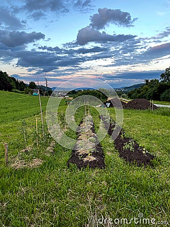 No digg market garden building Stock Photo