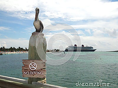 No diving Alert at Castaway Cay Editorial Stock Photo