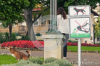 No dogs allowed sign in the park and female owner with her dog peeing on lawn Stock Photo