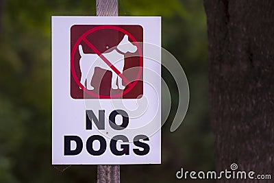 no dogs Stock Photo