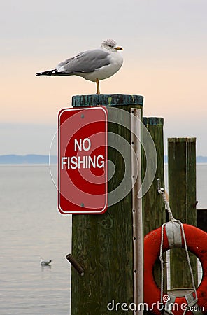 No Fishing Stock Photo