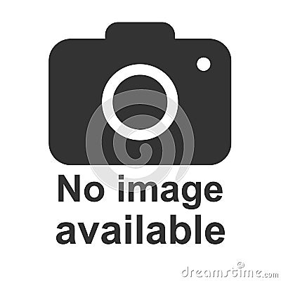 No image available icon. Photo camera icon. Flat, vector illustration Cartoon Illustration