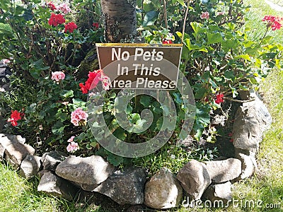 No pets in this area please sign with red and pink flowers and rocks Stock Photo