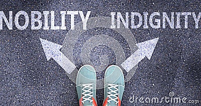 Nobility and indignity as different choices in life - pictured as words Nobility, indignity on a road to symbolize making decision Cartoon Illustration