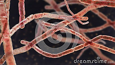 Nocardia bacteria, 3D illustration Cartoon Illustration