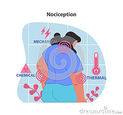 Nociception illustration. Visualization of the body's response to mechanical. Vector Illustration