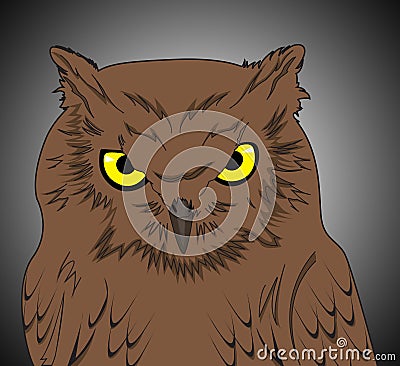 Nocturnal bird Stock Photo