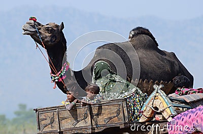 Nomadic tribal family from Thar desert preparing to traditional camel fair holiday at Pushkar,India Editorial Stock Photo