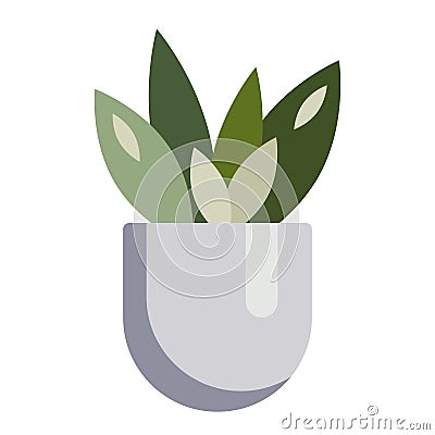 Non-flowering indoor plant in a pot. Herbal home decor element colored drawing. Vector illustration for seasonal design Vector Illustration