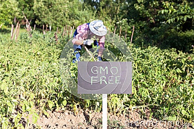 Non GMO vegetable garden Stock Photo