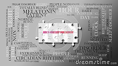 Non 24 Hour Sleep Wake Disorder as a complex subject, related to important topics spreading around as a word cloud Stock Photo