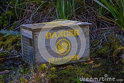 Non lethal or humane steel animal trap used to catch small mammals for tagging or relocation Stock Photo