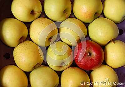 Nonconforming Apple Stock Photo