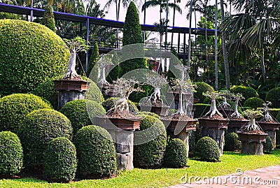 Nong Nooch Tropical Botanical Garden Editorial Stock Photo