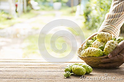Noni fruit on wooden table.And noni basket in his hand.Zoom in1 Stock Photo
