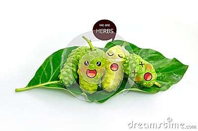 Noni Herb in Expression Face Stock Photo