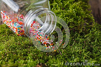 Nonpareils strew on moss Stock Photo