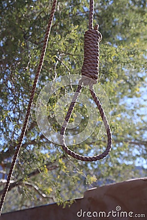 Noose Stock Photo