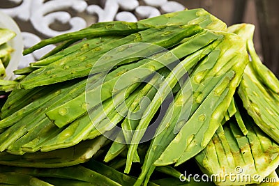 Nopales Stock Photo