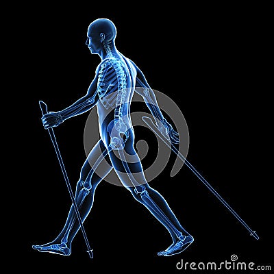 Nordic walking Cartoon Illustration