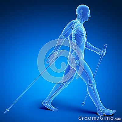 Nordic walking Cartoon Illustration