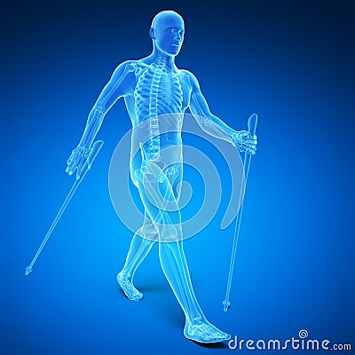 Nordic walking Cartoon Illustration