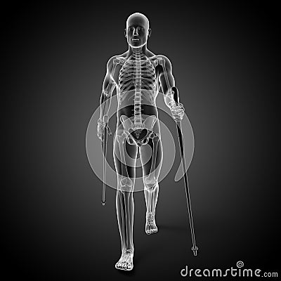 Nordic walking - skeleton Cartoon Illustration