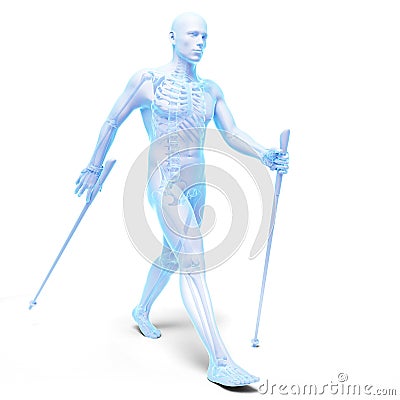 Nordic walking - skeleton Cartoon Illustration