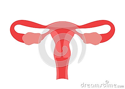 Normal ovary, healthy uterus womb of woman. Female reproductive system. Female internal organ. Vector illustration Vector Illustration