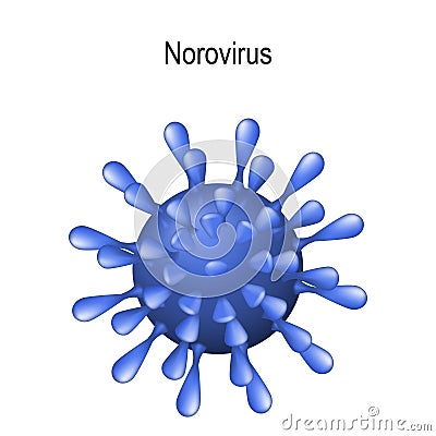 Norovirus. Virion on the white background Vector Illustration