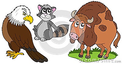 North American animals collection Vector Illustration