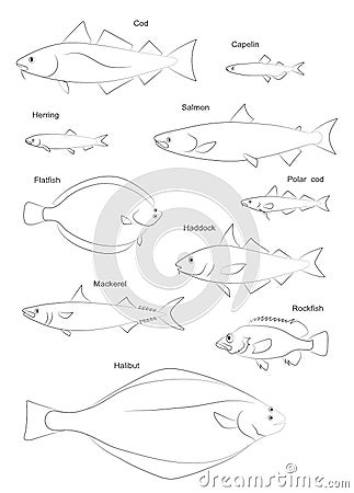 North Atlantic fish silhouettes. Vector images set. Vector Illustration