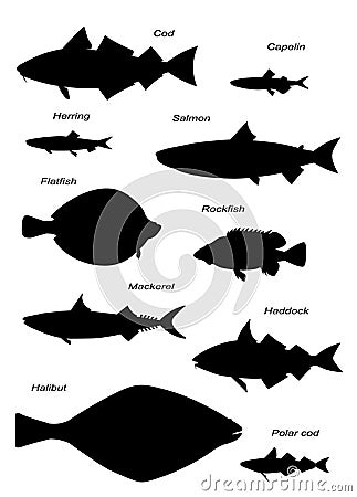 North Atlantic fish silhouettes. Vector images set. Vector Illustration