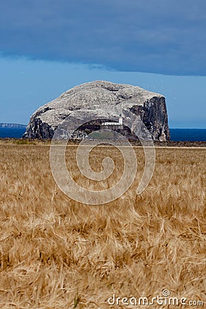 NORTH BERWICK, FIRTH OF FORTH/SCOTLAND - AUGUST 14 : View of Bass Rock in Firth of Forth near North Berwick on August 14,2010 Editorial Stock Photo