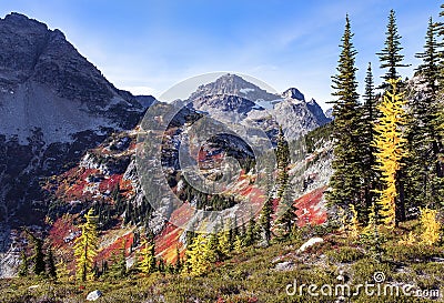 North Cascades National Park Stock Photo