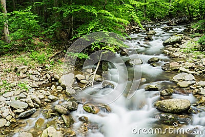 North Creek - Wild Mountain Trout Stream - 2 Stock Photo