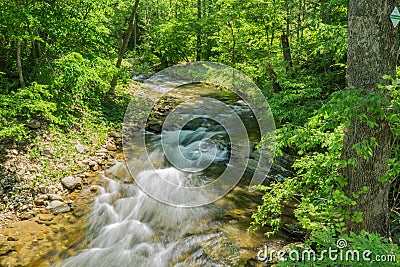 North Creek - Wild Mountain Trout Stream - 6 Stock Photo