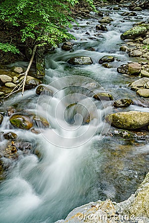 North Creek - Wild Mountain Trout Stream - 3 Stock Photo