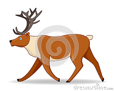 North deer animal standing on a white background Vector Illustration