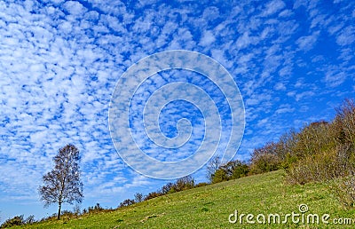 North Downs near Otford in Kent, UK. Scenic view of the English countryside with lone tree, blue sky and white clouds. Stock Photo