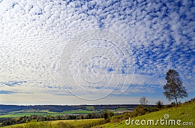 North Downs near Otford in Kent, UK. Scenic view of the English countryside with lone tree and panoramic view. Stock Photo