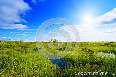 North mountain tundra Stock Photo