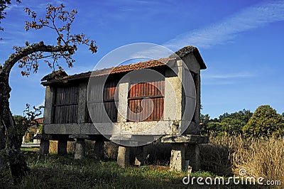 Vila Real rural corn horreo Portugal Stock Photo