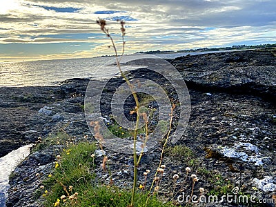 At the North Sea in Randaberg in Norway Stock Photo